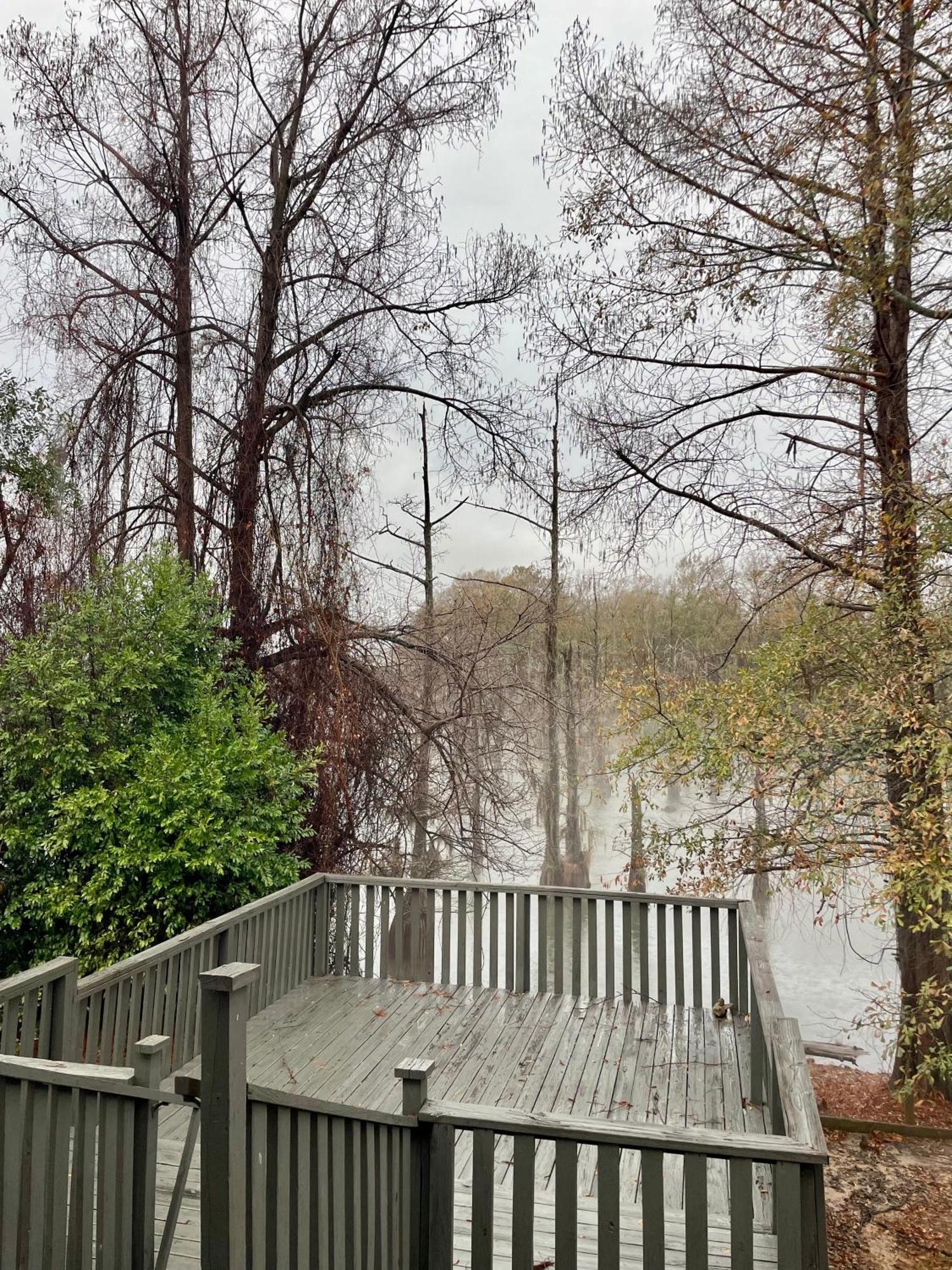 Bayou And Beyond Bayou View Монро Екстериор снимка