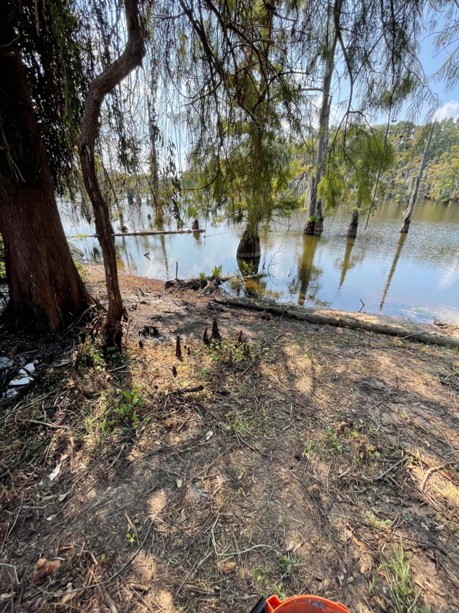 Bayou And Beyond Bayou View Монро Екстериор снимка